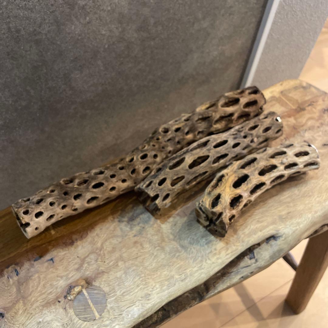 【まるさん専用】オーダーメイドカクタスパーチ相談ページ