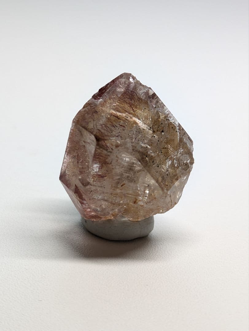 コレクション Y