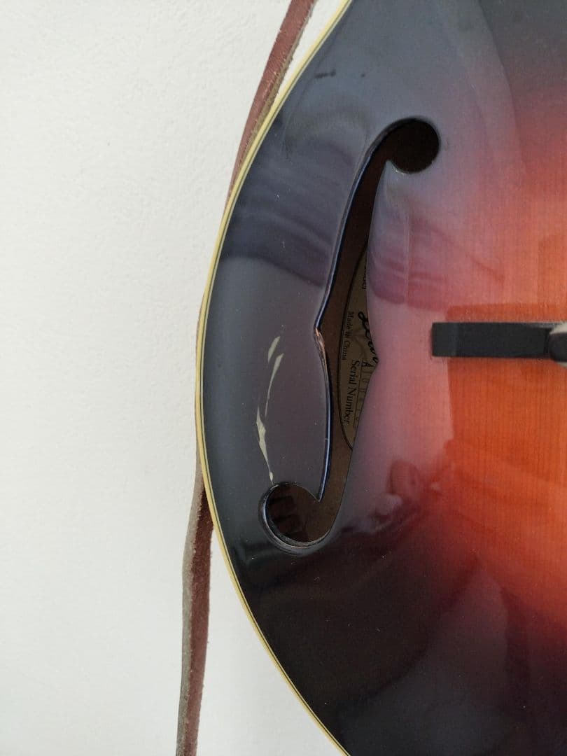 The Loar フラットマンドリン