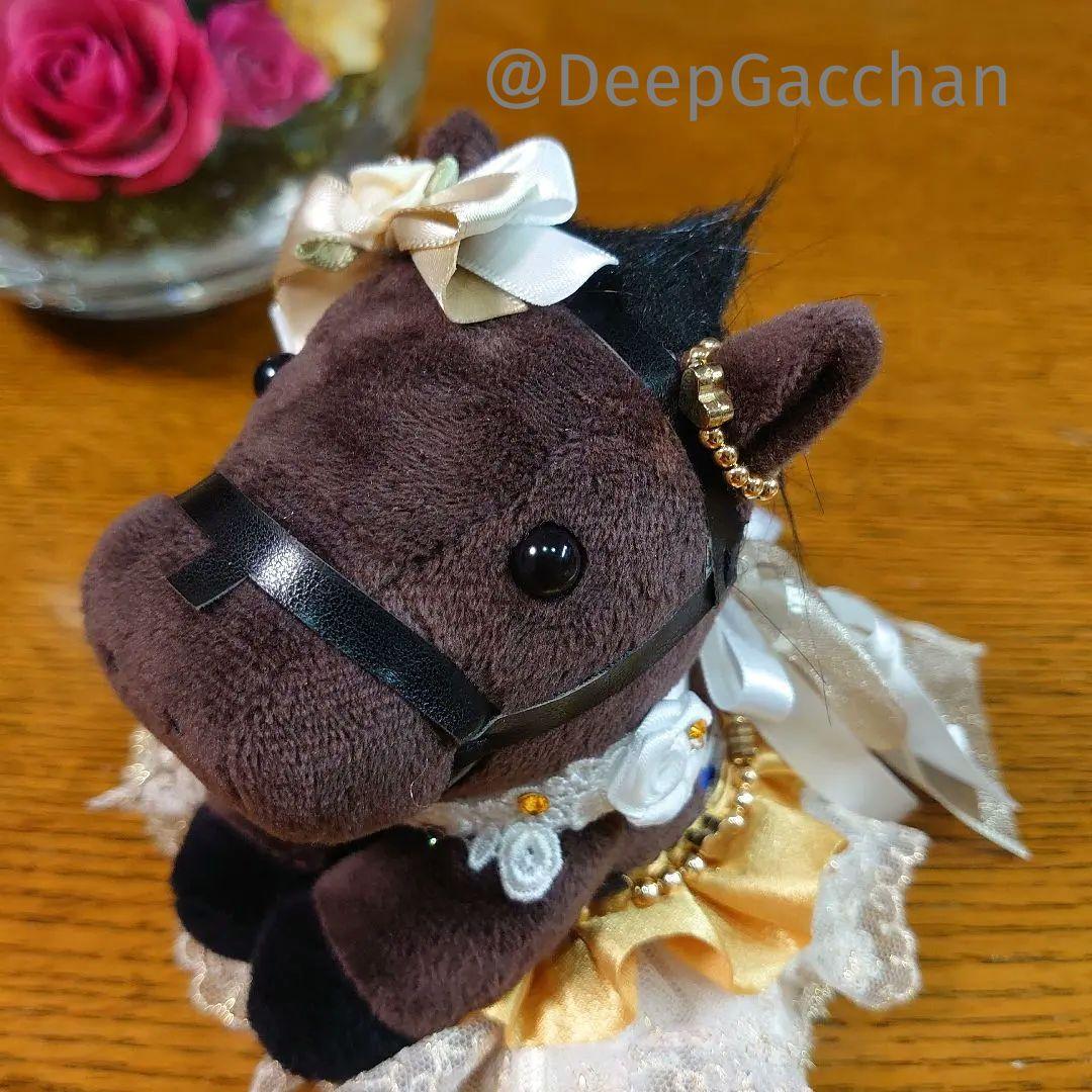 メイケイエール　スタニングローズ　アイドルホースドレス　Sサイズ