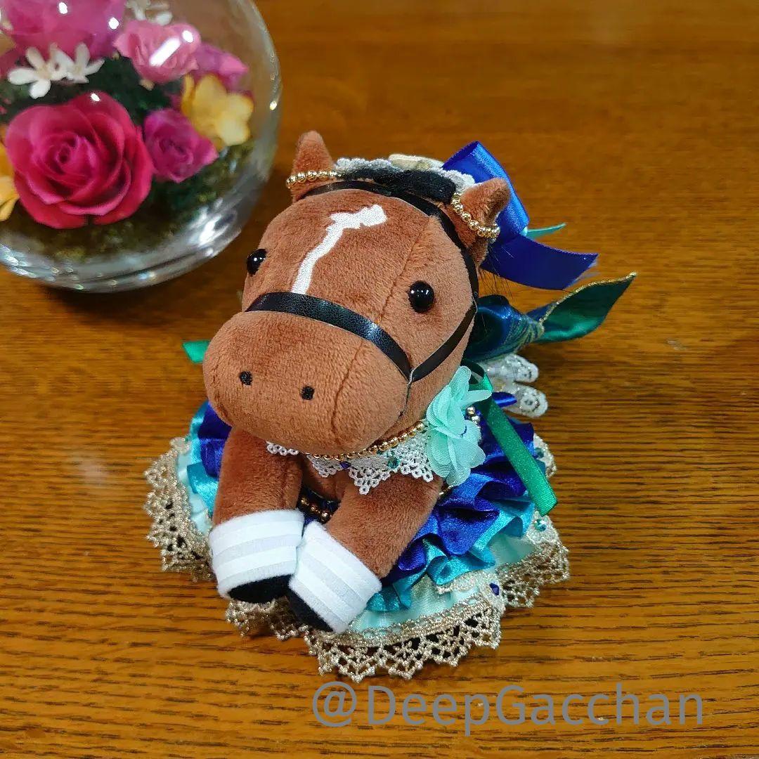 メイケイエール　スタニングローズ　アイドルホースドレス　Sサイズ