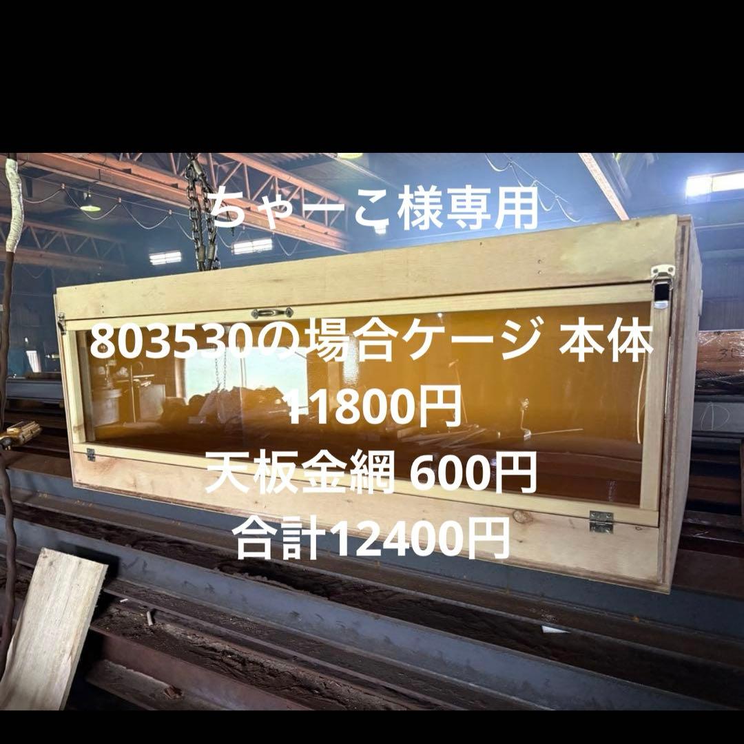 ちゃーこ803530