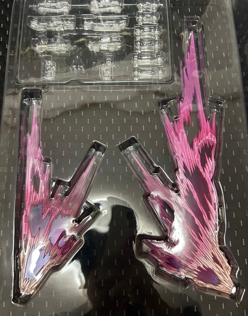 デスティニーガンダム [L BUILD FESTIVAL 2024]