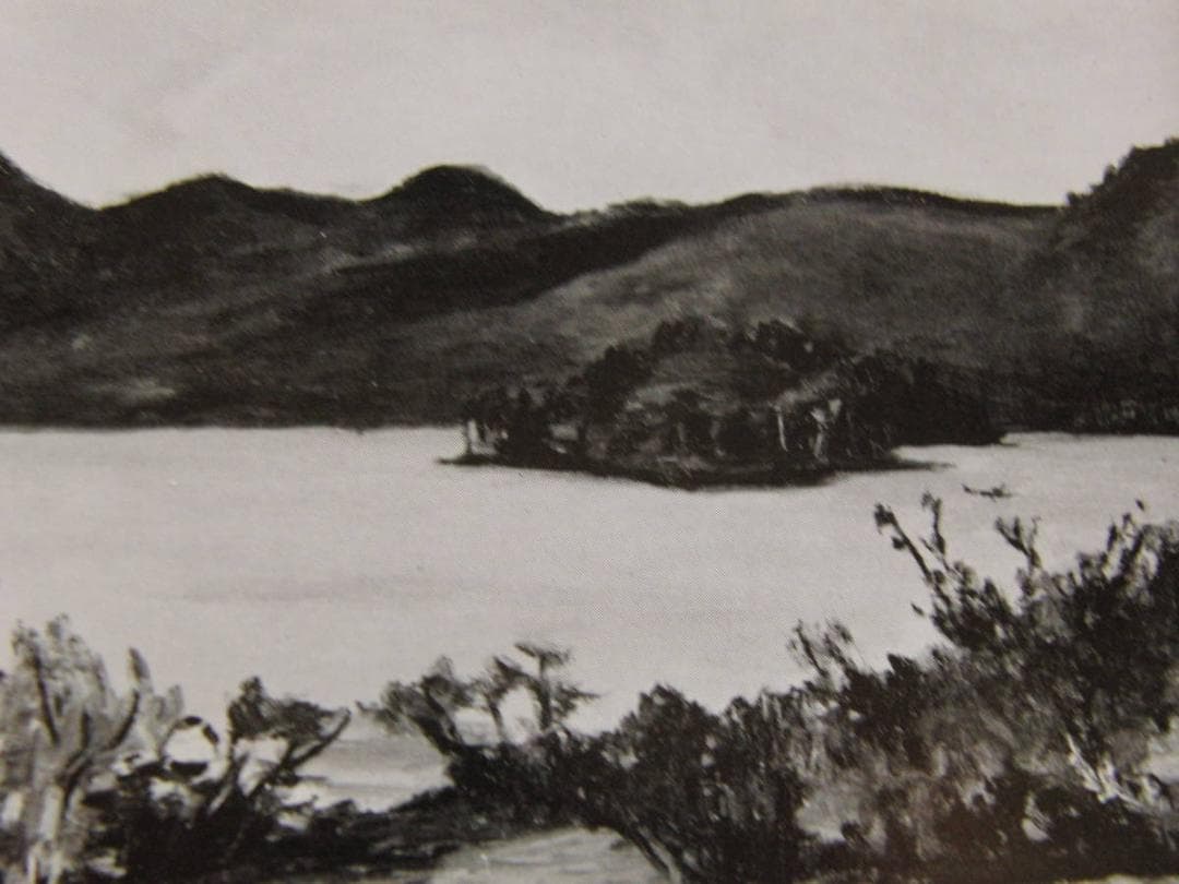 中沢弘光、「赤城湖畔」、希少な画集の額装画