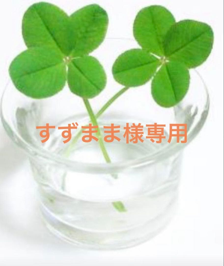 すずまま