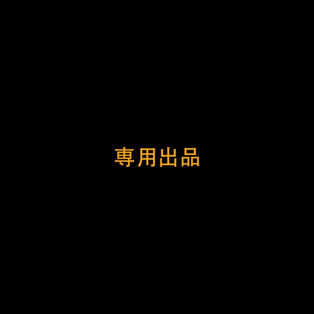 ミニカー shun