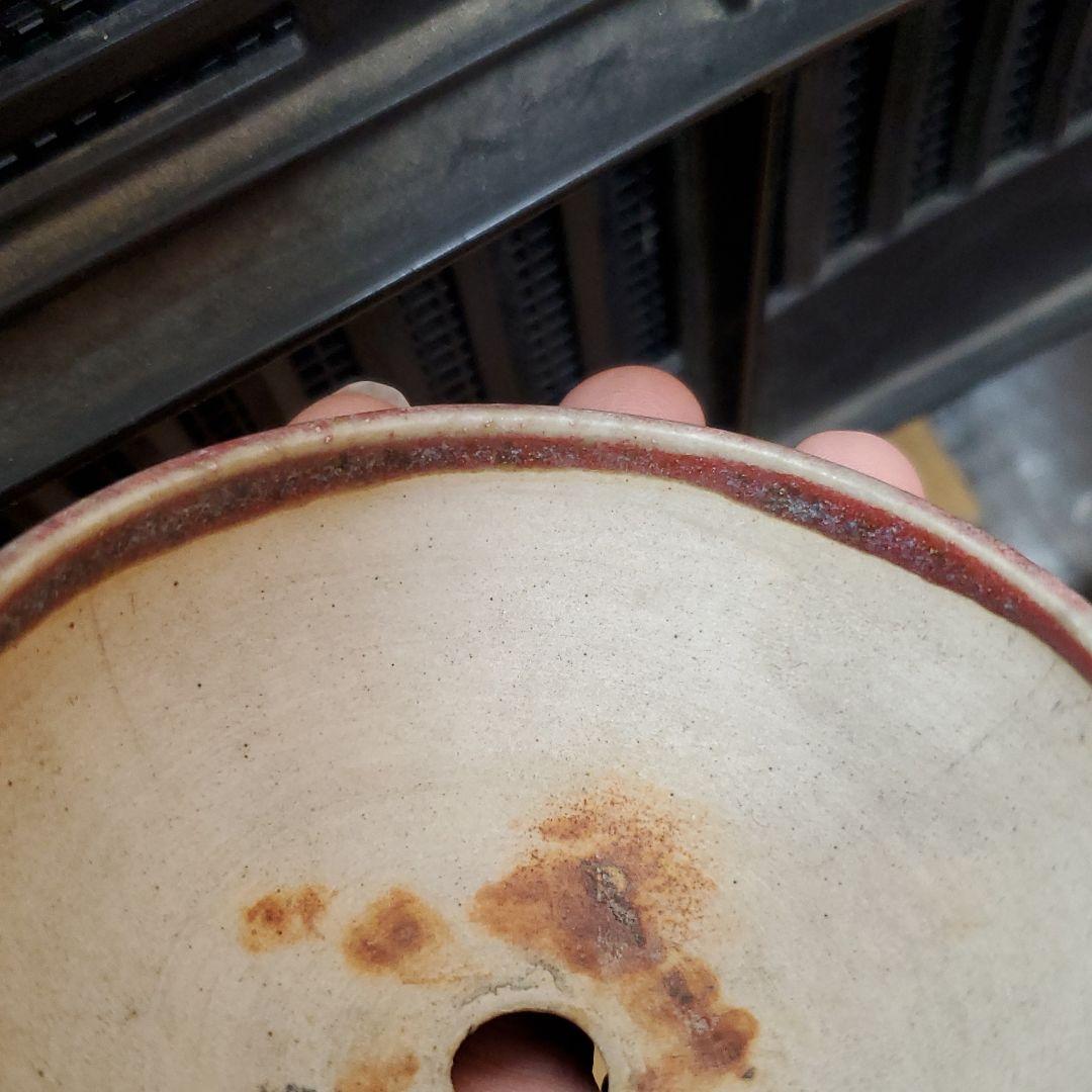 町直 盆栽鉢
