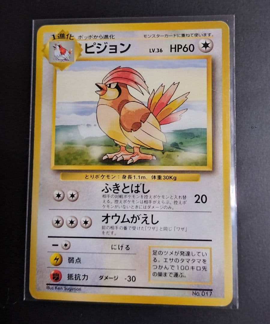 【星エラー有】【初版】ポケモンカード 旧裏 No.017 ピジョン LV.36