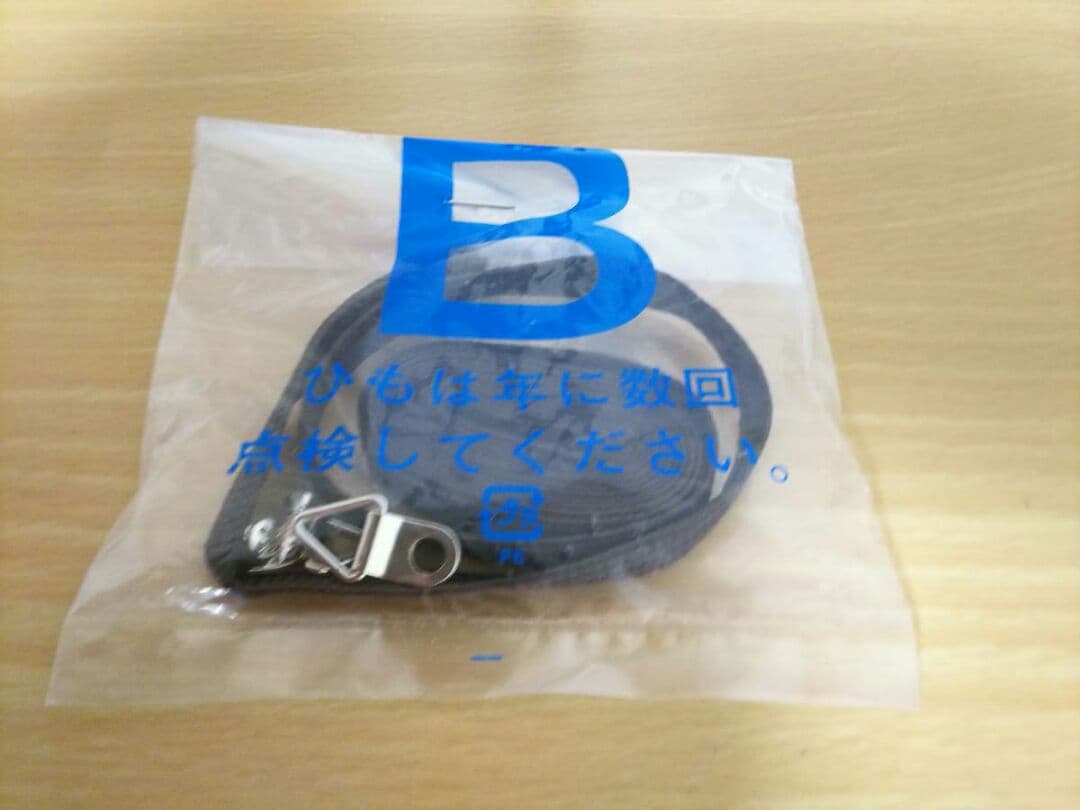 河村隆一ジャパネスク直筆サイン入り写真パネル写真集LUNA SEAルナシー当選品