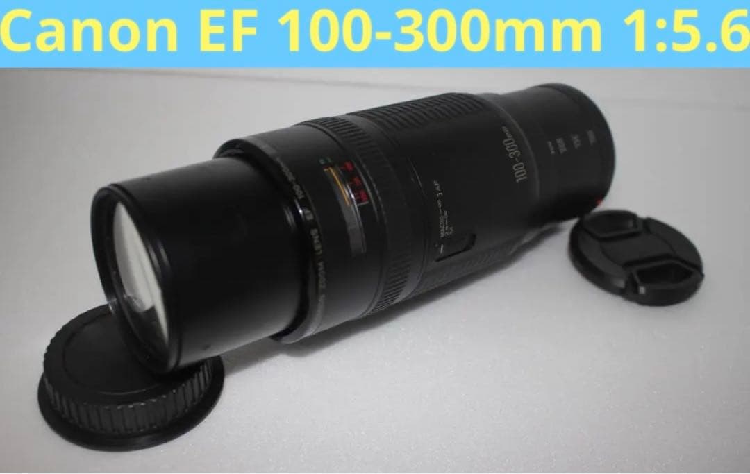 超望遠レンズ☆迫力300㎜☆キャノン Canon EF100-300㎜