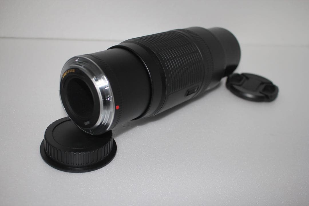 超望遠レンズ☆迫力300㎜☆キャノン Canon EF100-300㎜