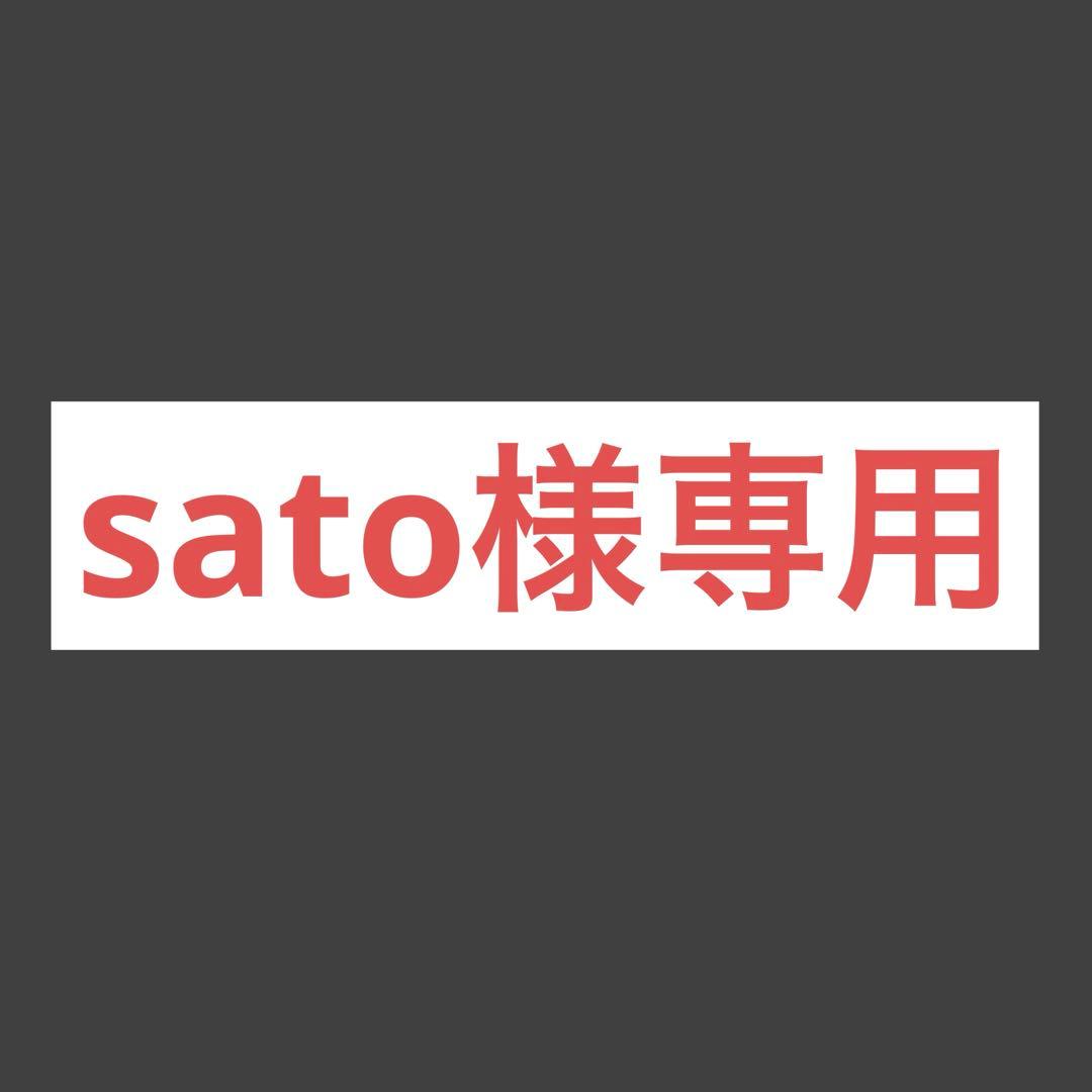フィルムカメラ sato