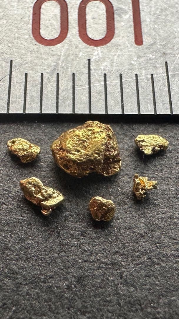 砂金　大きさ様々