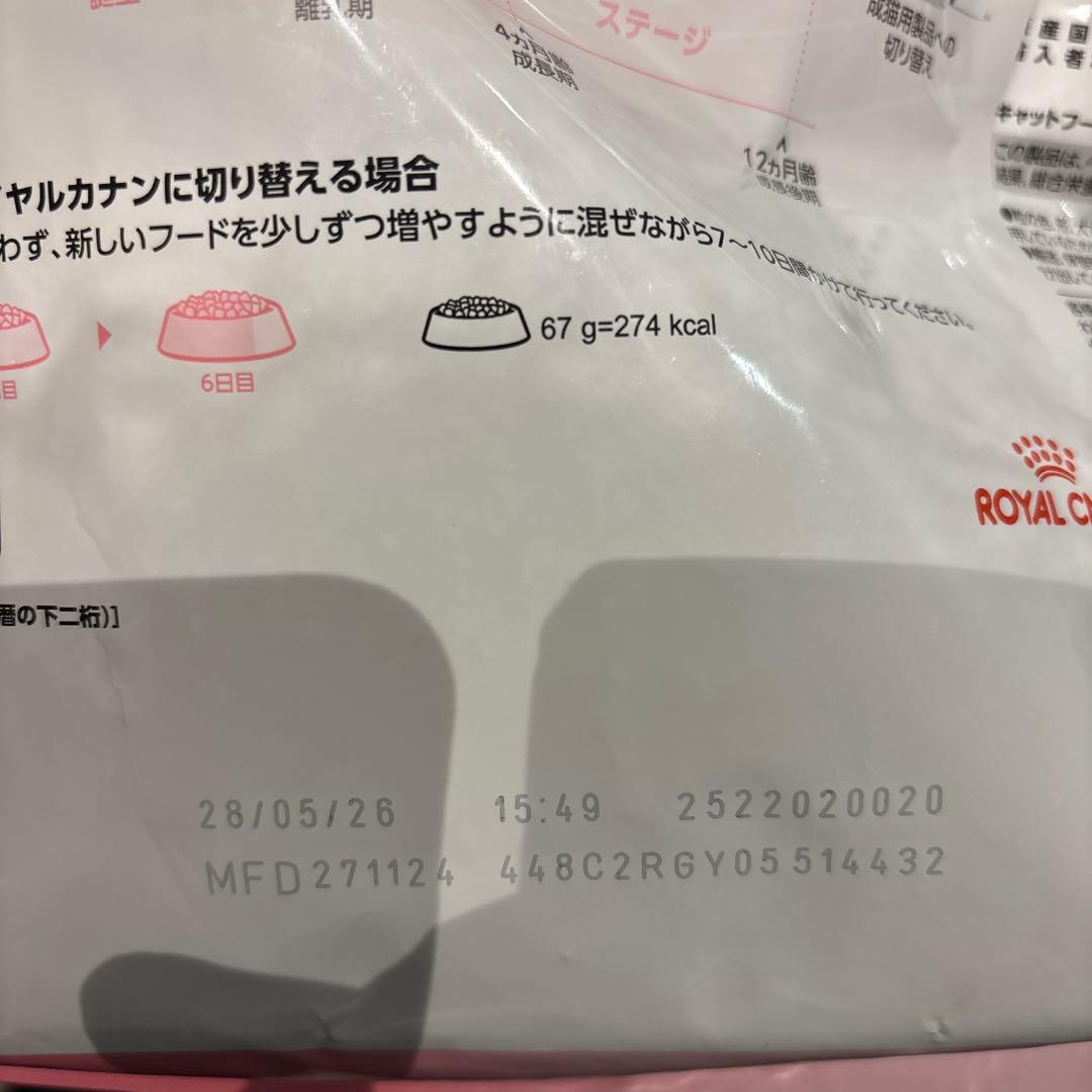  CANIN 子猫用ドライフード 2kg × 2個セット