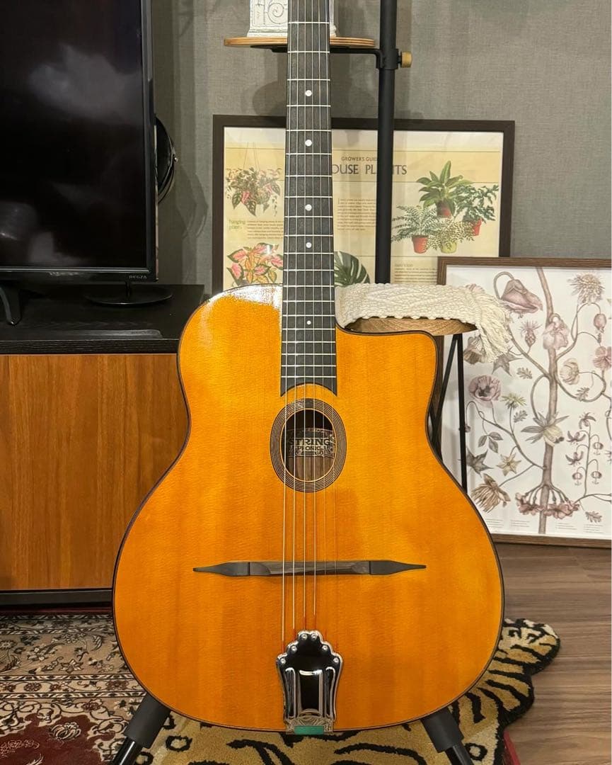 stringphonic advanced FV limited マカフェリ