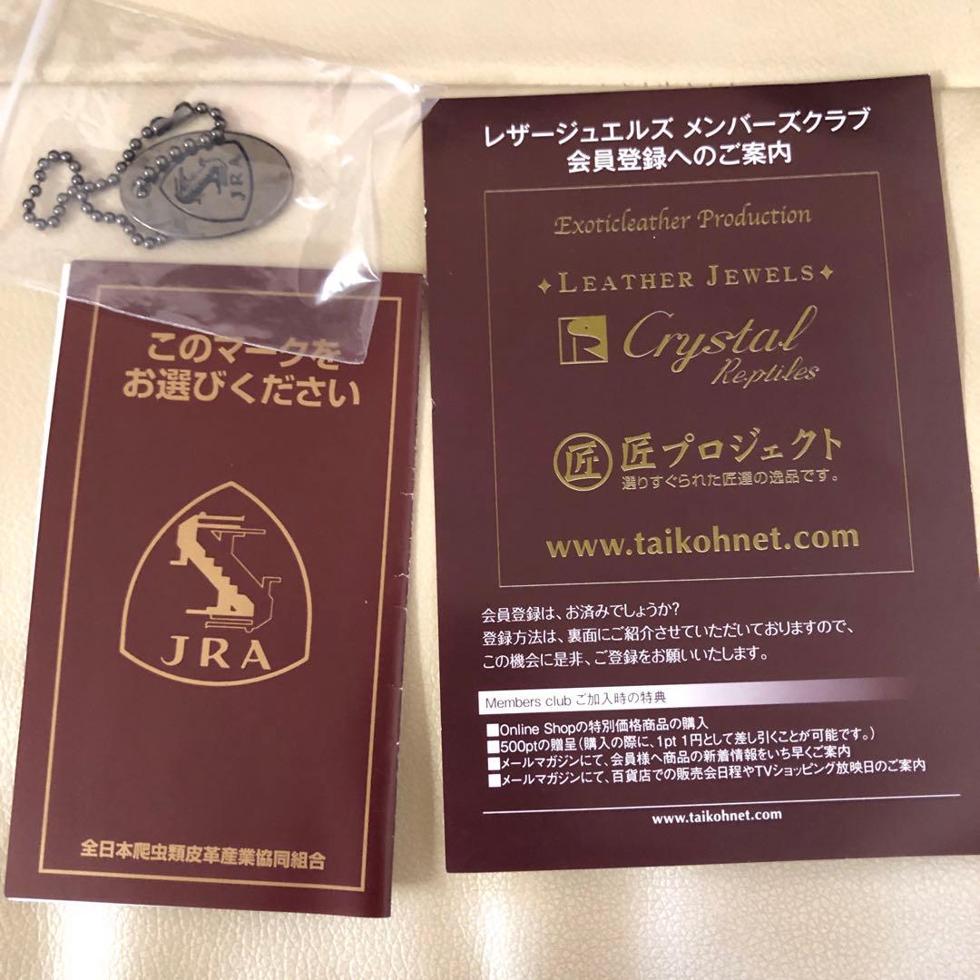 レザージュエルズ マットクロコダイル ハンドバッグ モデルT ブラウン