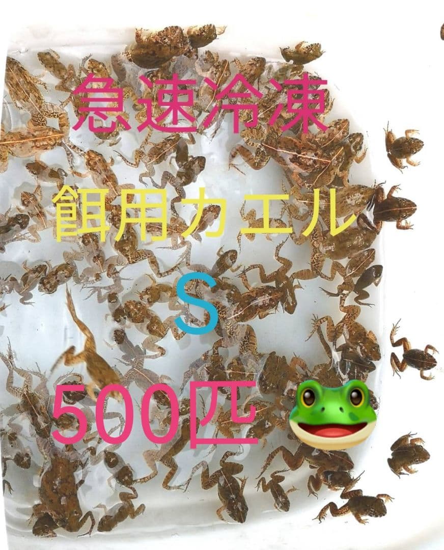 5百匹【冷凍】S 餌用カエル ヌマガエル 蛇の餌 爬虫類 ピンクマウスの代用