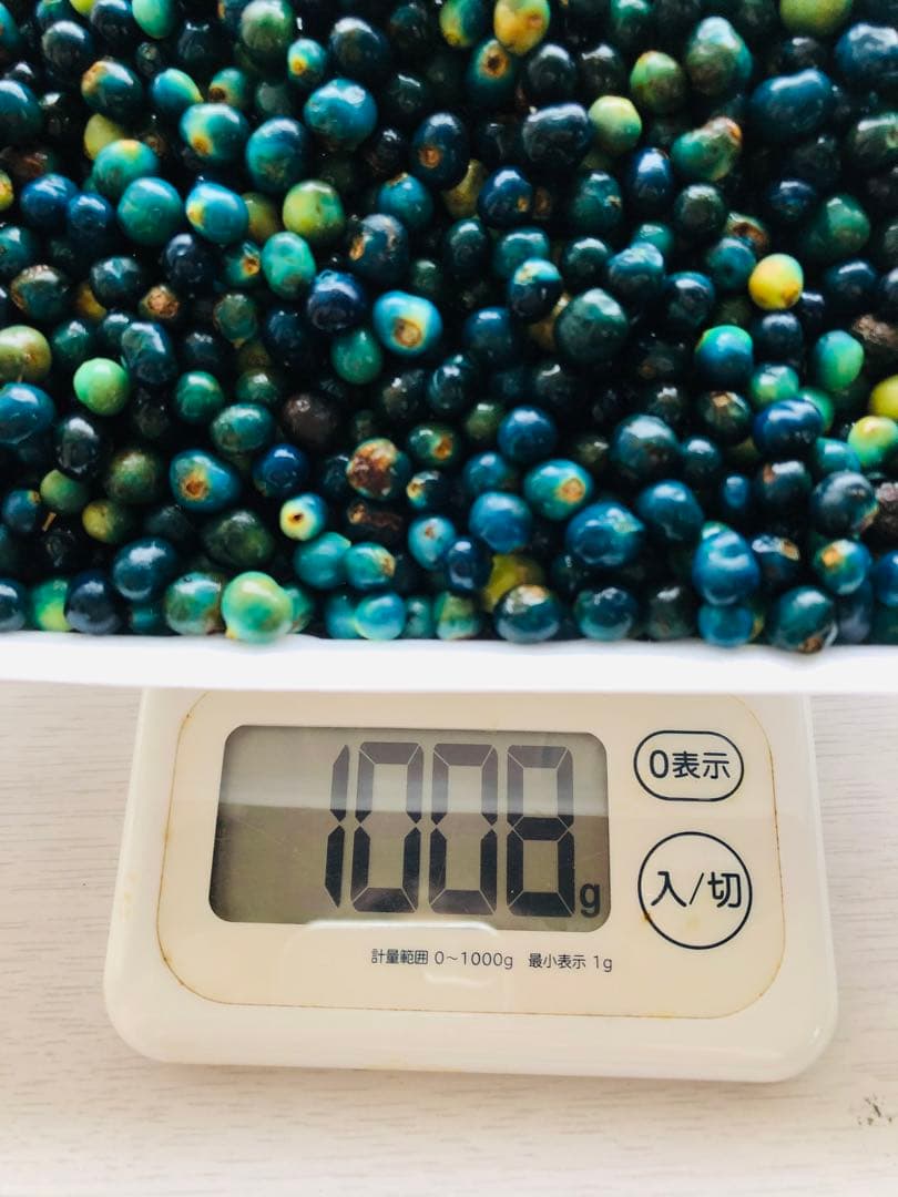クサギの実　草木染め　1,008g