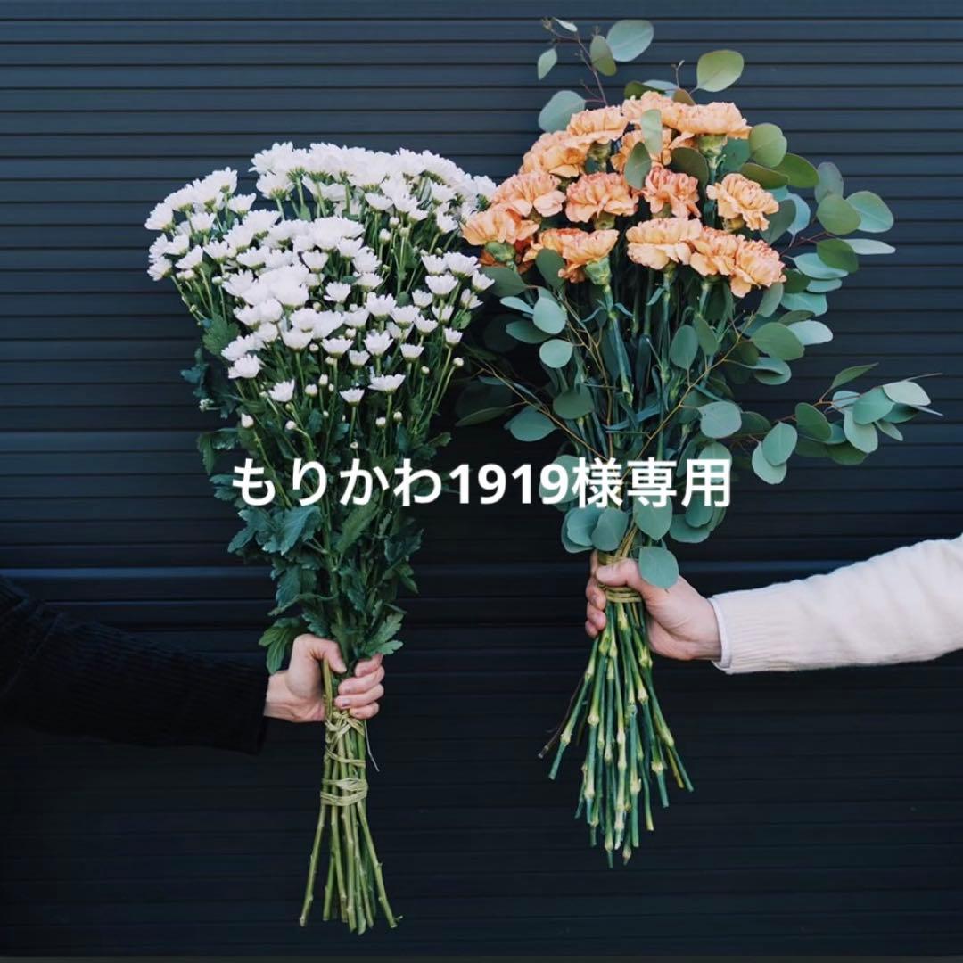 もりかわ1919