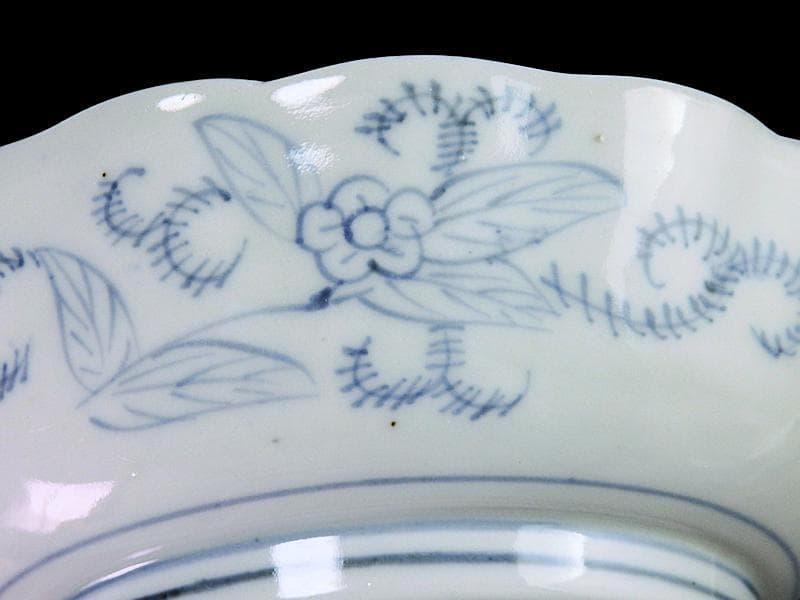 古伊万里　染付　亀甲紋に草花紋の図 膾皿　江戸期　D568AS-fbsx