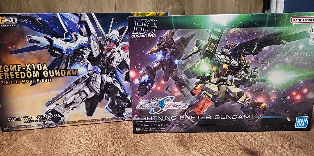 サ*ト様 MGSDフリーダムガンダム　HGCEライトニングバスターガンダム