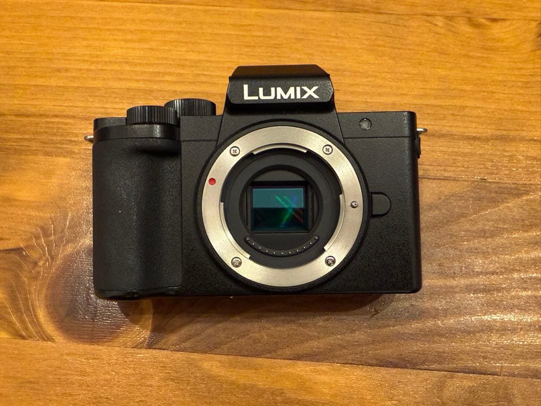 デジタルカメラ LUMIX G100