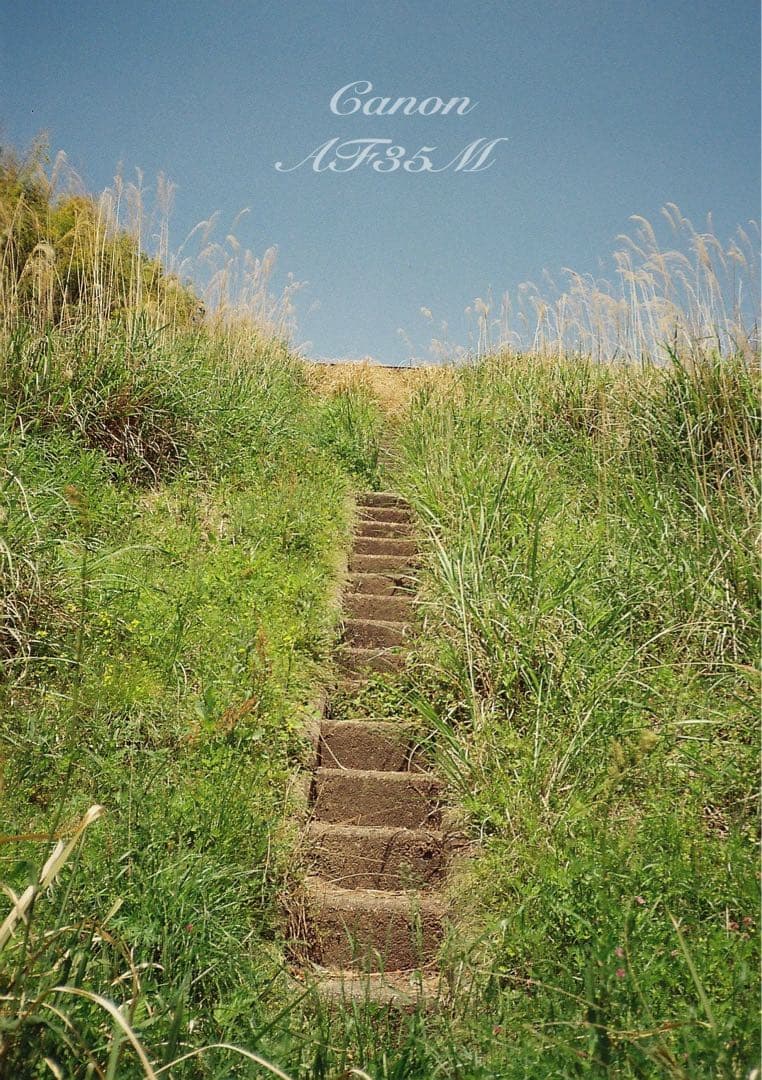 ★canon af35m（オートボーイ）★希少!完動品＊美品★フィルム入門！