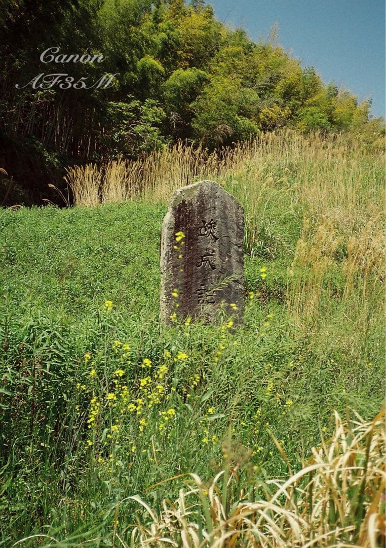 ★canon af35m（オートボーイ）★希少!完動品＊美品★フィルム入門！