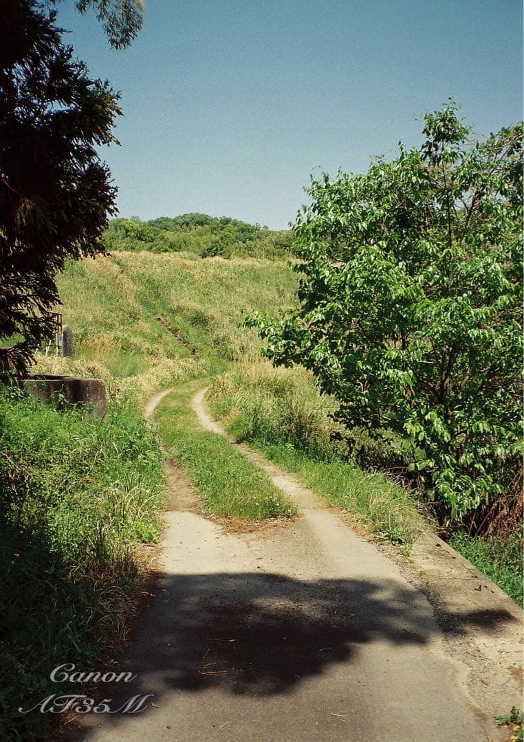 ★canon af35m（オートボーイ）★希少!完動品＊美品★フィルム入門！