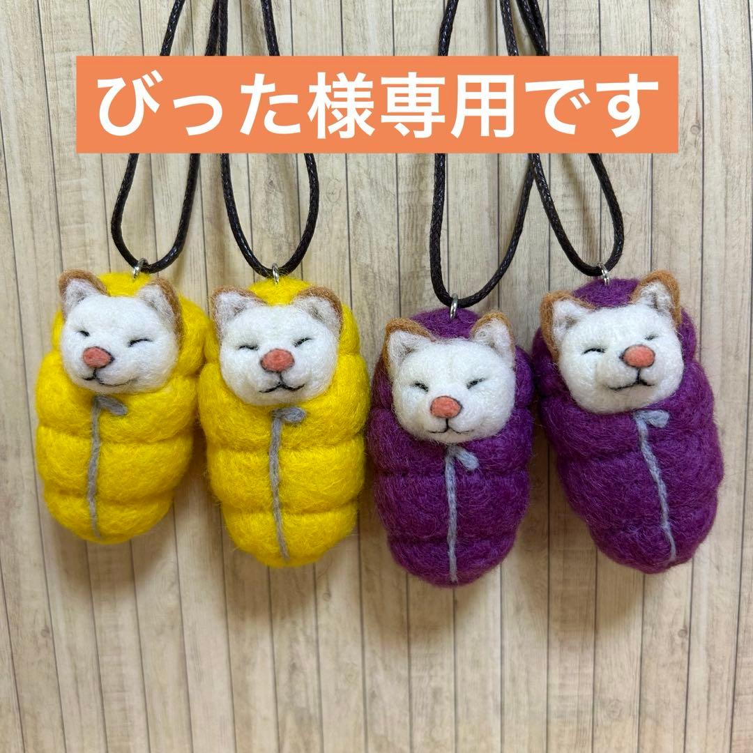 びったです