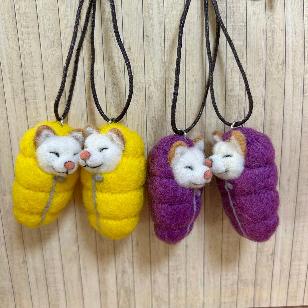 びったです
