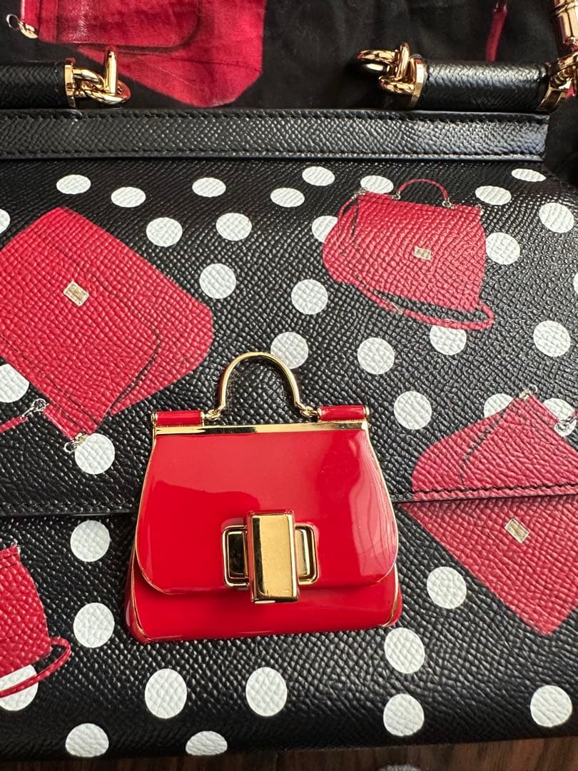 ドルチェ&ガッパーナ　ドルガバ　ドット　バック