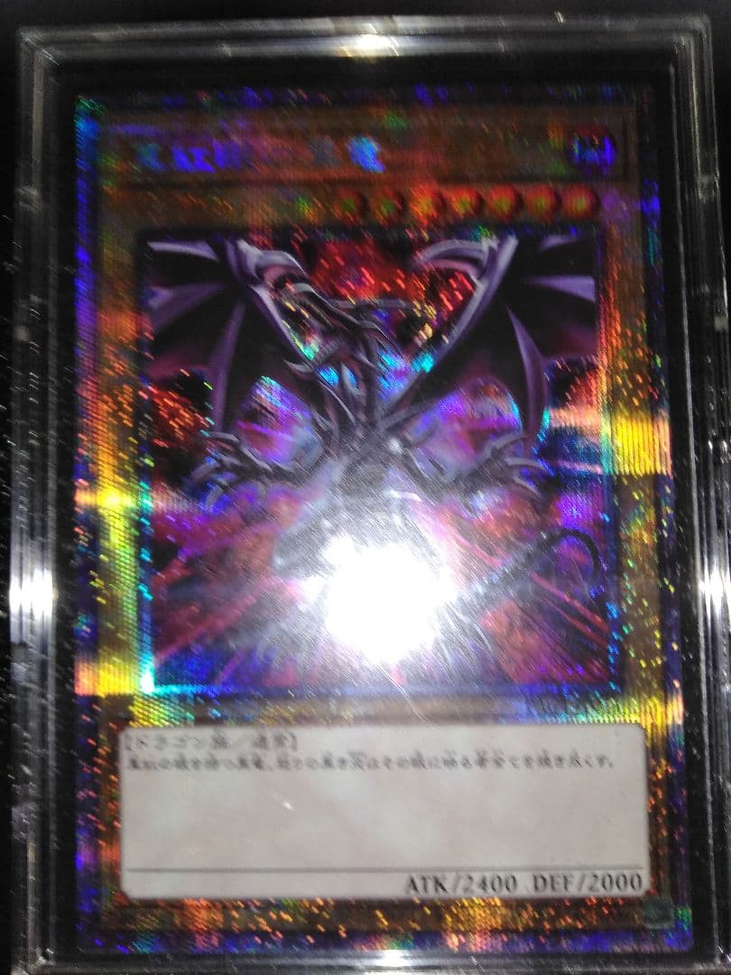 遊戯王　真紅眼の黒竜(絵違い)　プリシク