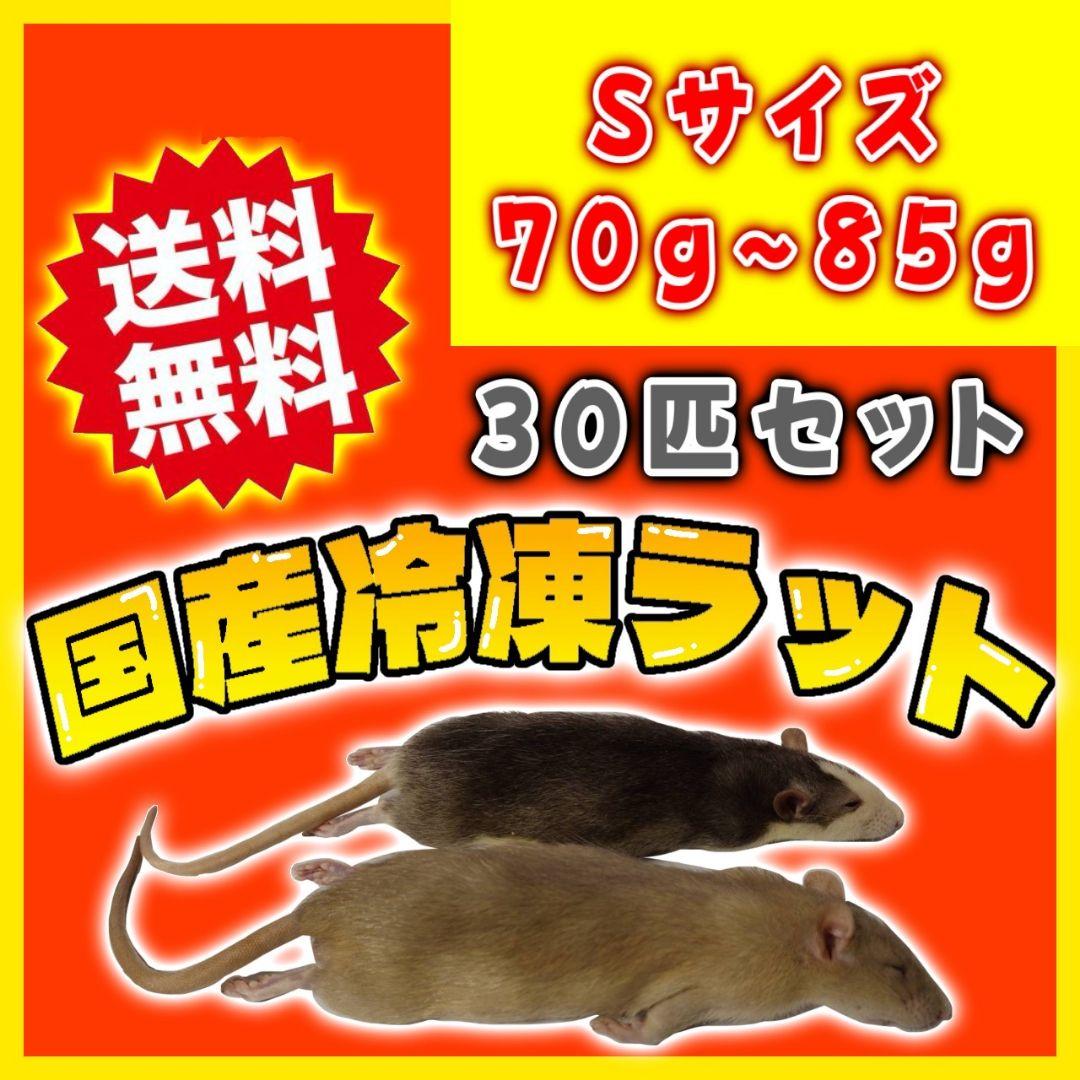 冷凍ラット 70~85g 30匹セット