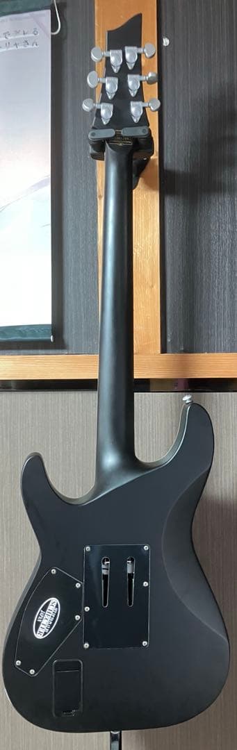 ギター SCHECTER DAMIEN PLATINUM-6FR
