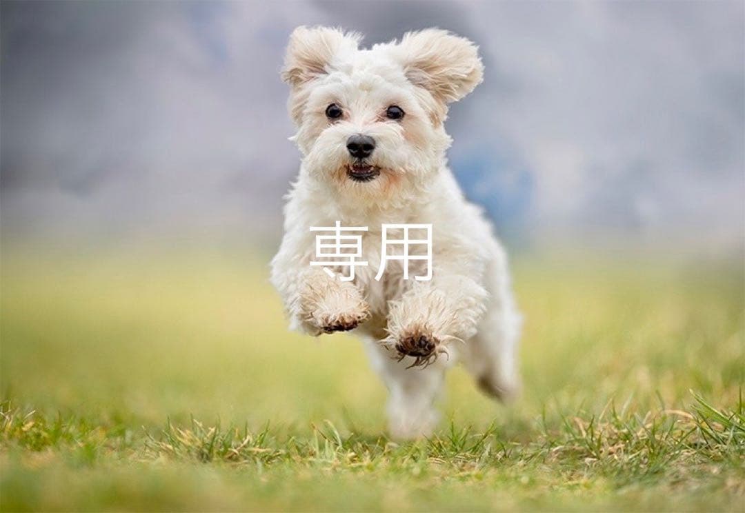 はるひな様