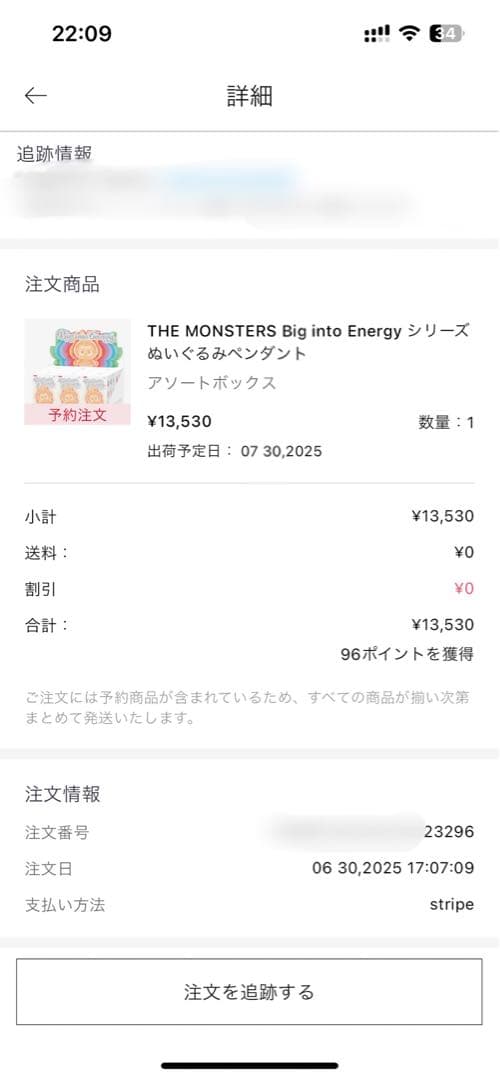 アイドル LABUBU THE MONSTERS Big into Energy