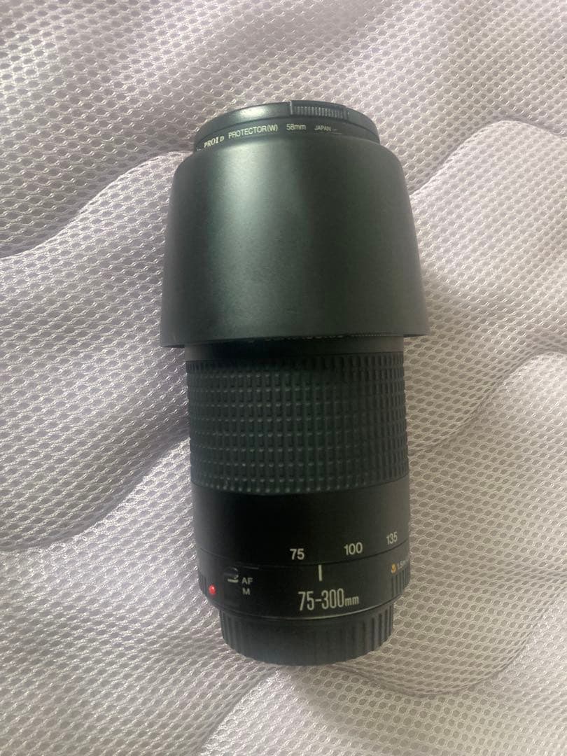 Canon EF 75-300mm ズームレンズ