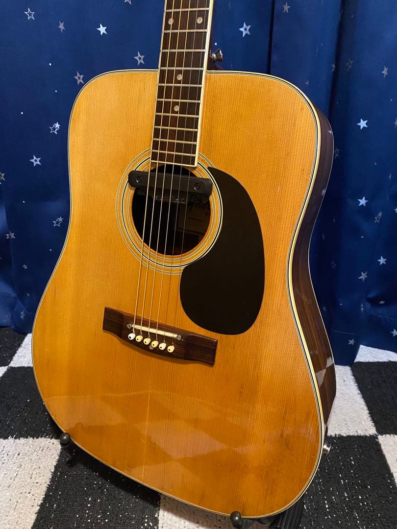 Greco F200 (エレアコ仕様)