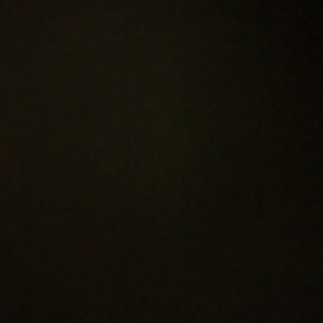 ほいほいほいさん専用（早いもの勝ち）