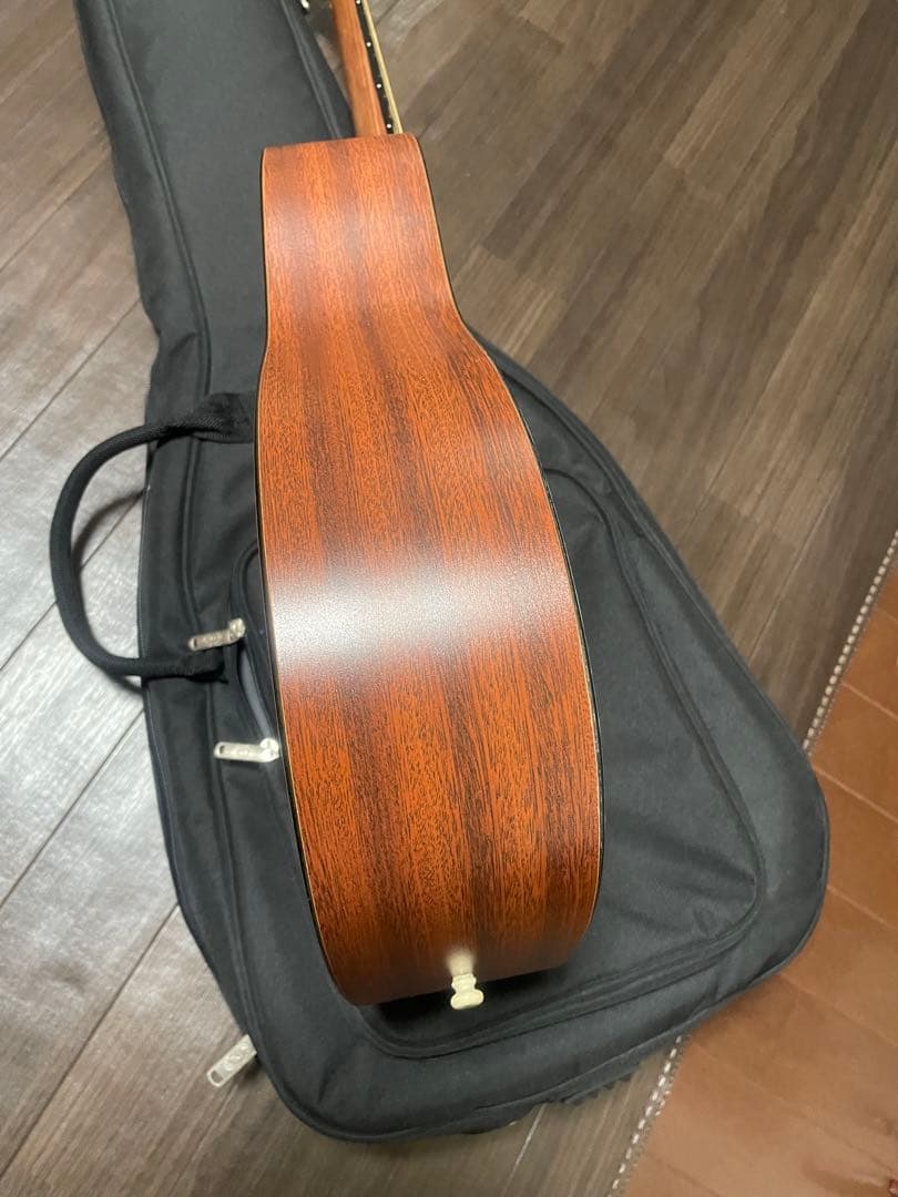 Martin & Co. アコースティックギター