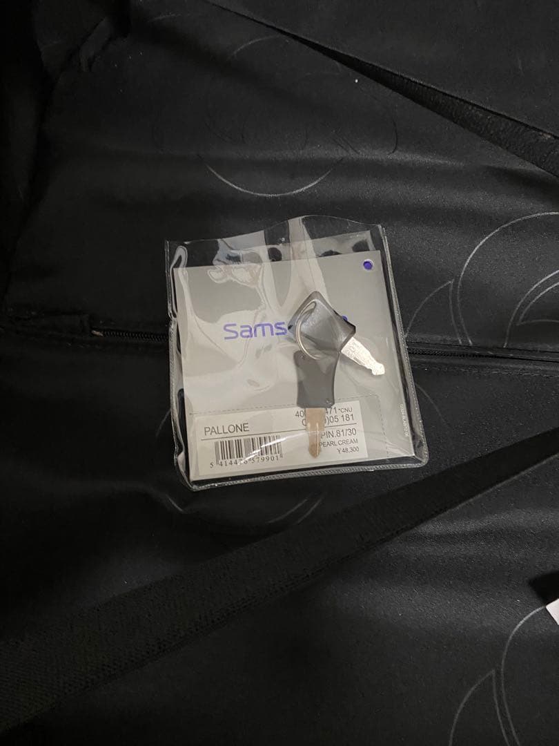 Samsonite サムソナイト スーツケース Pallone パローネ 98L