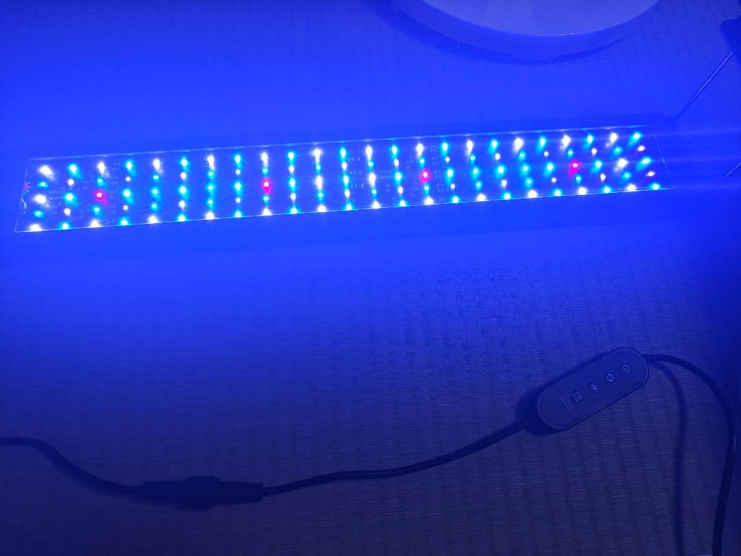 volx japan grassy legna marine 600 タイマー付