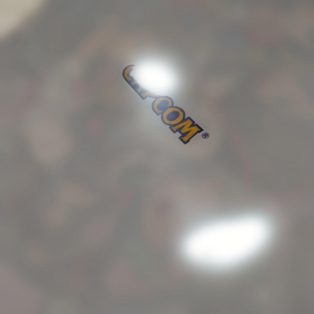 CAPCOM キャラクタークリアファイル A4