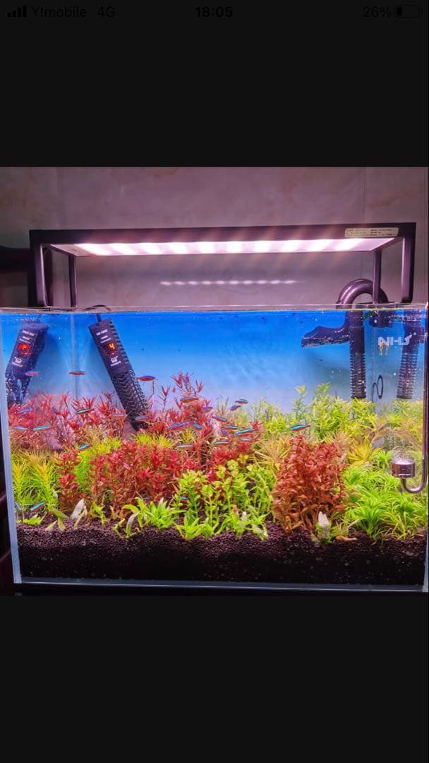 20Lろ材水質浄化抜群濾過フィルター自社製高品質セラミックリング送料込み即時発送