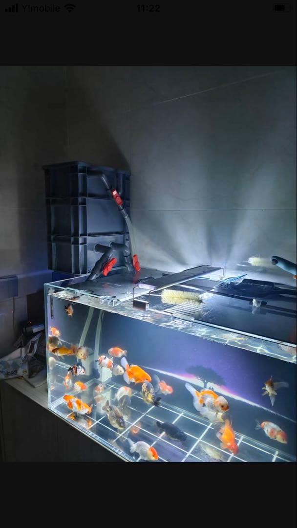 万能濾過ろ材ポンプ付き付きフルセット 水槽池用濾過器フィルター大型水槽濾過装置