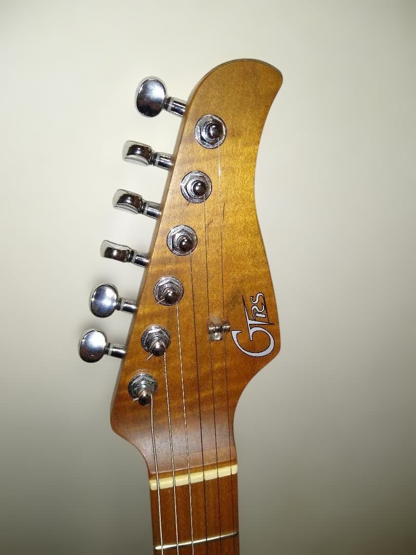 お得です！！Mooer GTRS P801 Dark Night