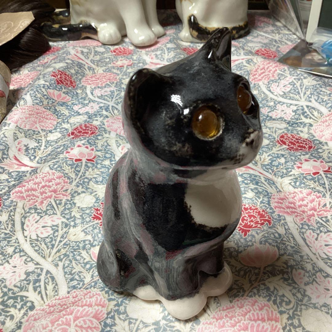 ウィンスタンレイキャット、ケンジントンキャット、お茶目なサイズ1、黒白の貴重な子