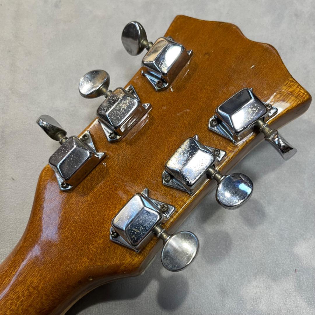 taro takenoko専用　Greco EG-135 1960年代