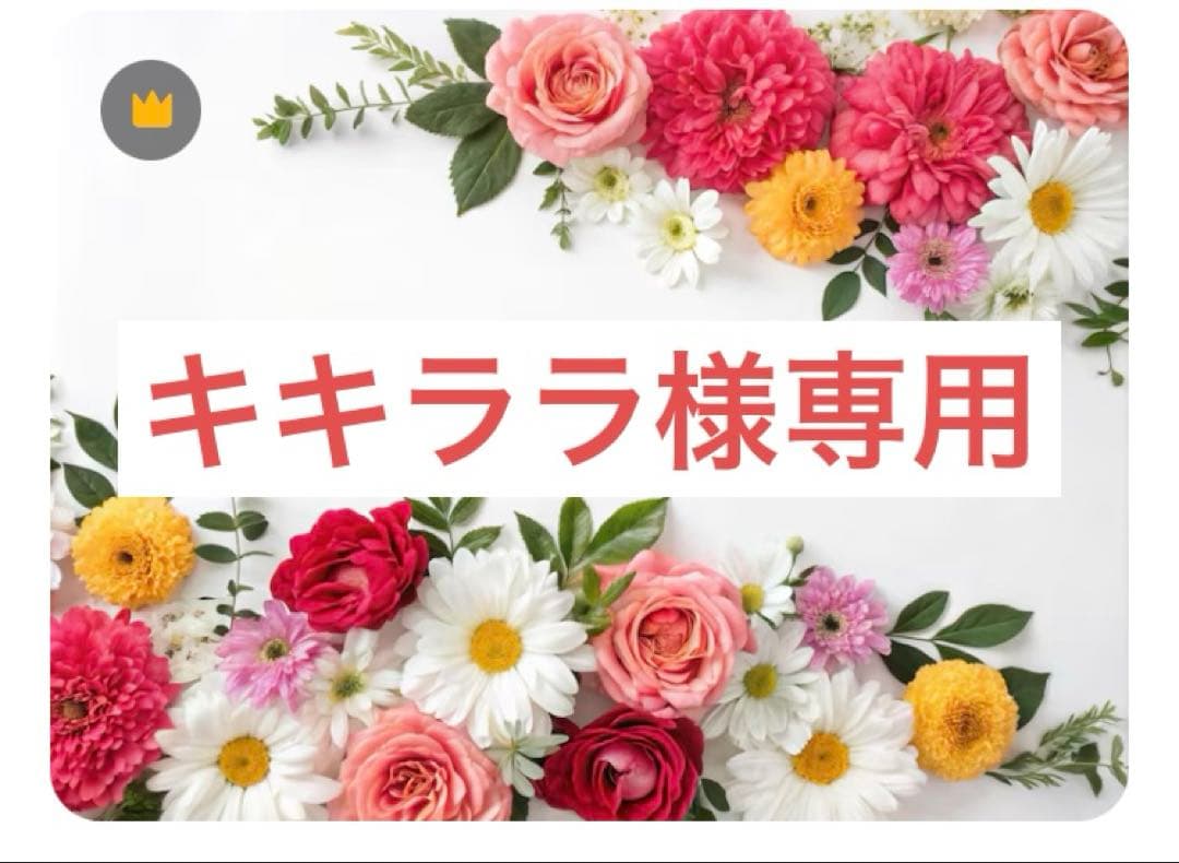 ナリスマジェスタ